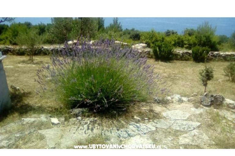 Ferienwohnungen Villa Mare – foto 9