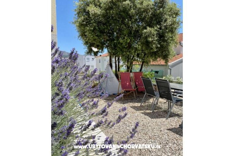 Villa Salvia Adriatica – foto 23