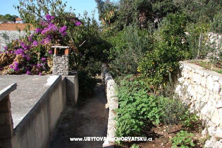 Apartment Terezija – foto 6