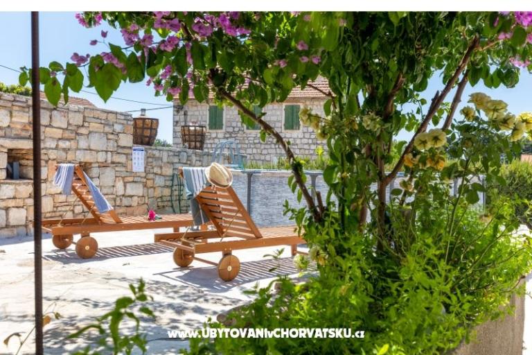 Hacienda Dora – foto 2