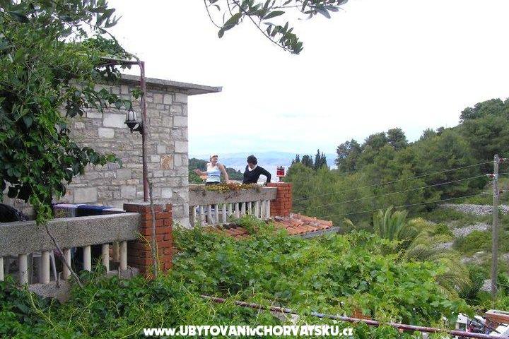 Villa Palmira – foto 3