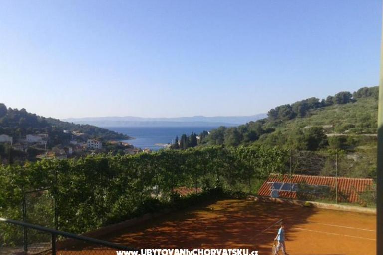 Villa Palmira – foto 4