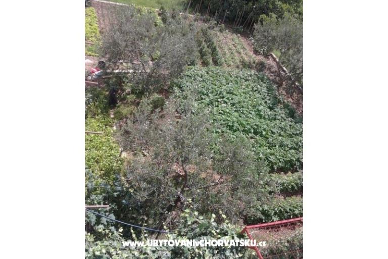 ADRIATIQ Ferienwohnungen – foto 16