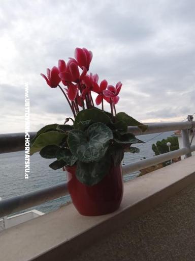 Apartment Jagoda – foto 23