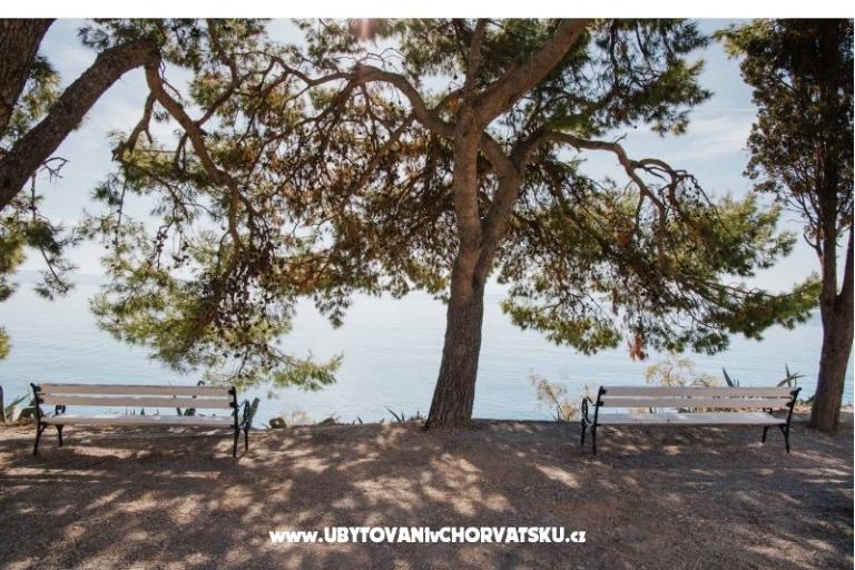 Apartment Mime – foto 22