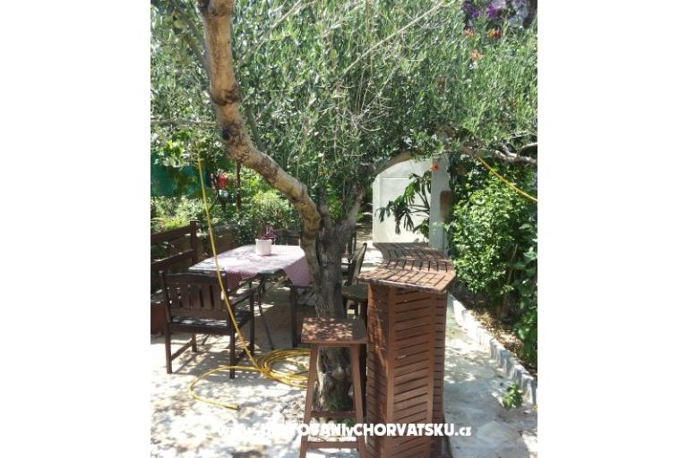 Ferienwohnungen SILVA /                  – foto 12