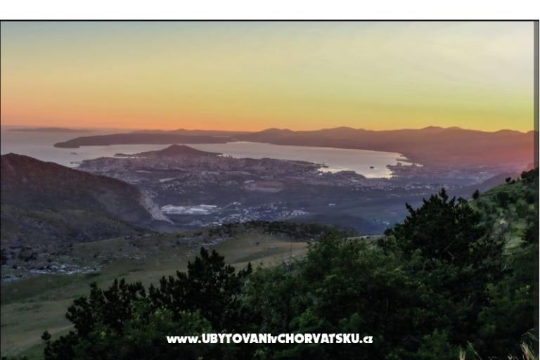 Green paradise  – foto 51