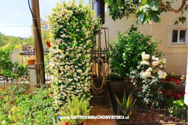 Appartements Brković – foto 8