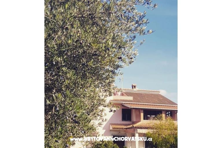 Appartements DARIO - Sukošan – foto 54