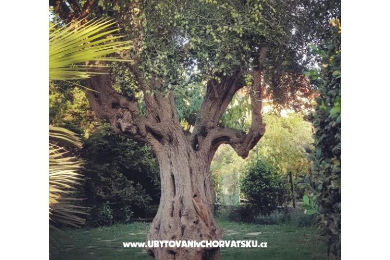 Appartements DARIO - Sukošan – foto 55