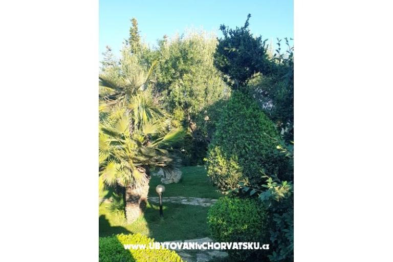 Appartements DARIO - Sukošan – foto 63