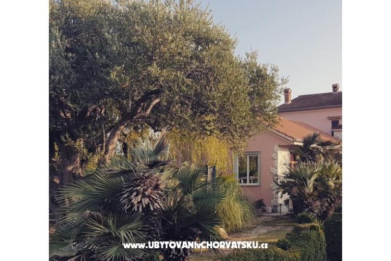 Appartements DARIO - Sukošan – foto 77