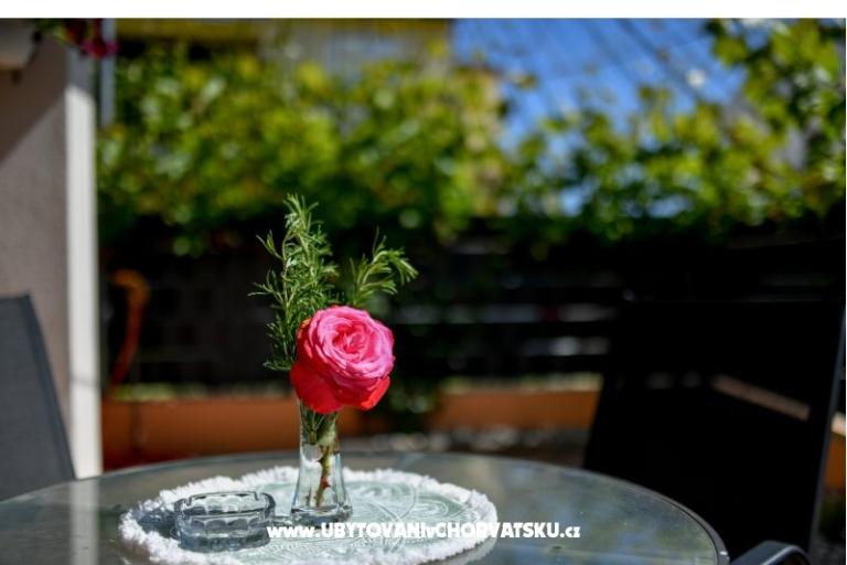 Ferienhaus Magdalena – foto 22