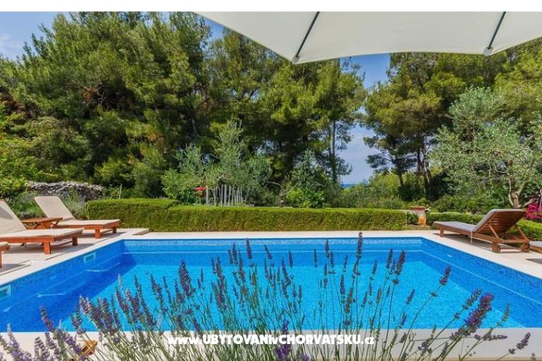 Villa Kamenica – foto 4