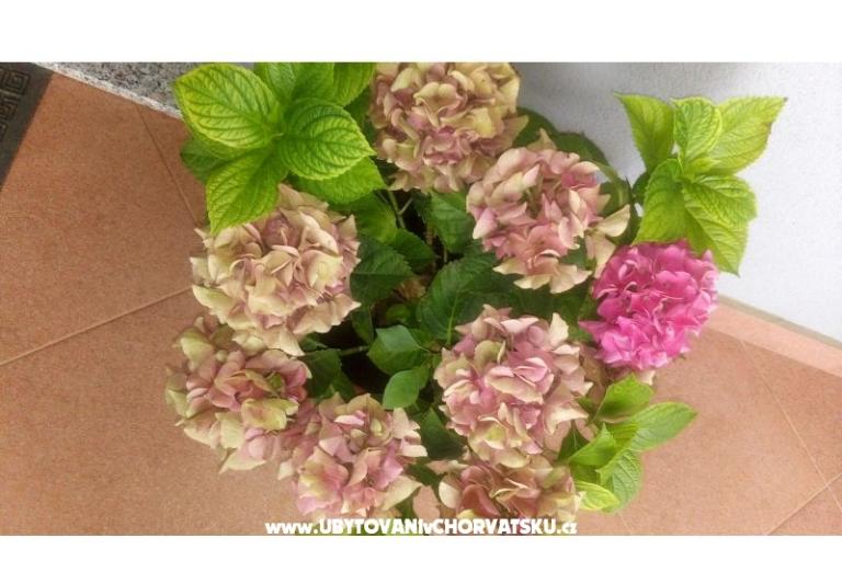 Appartements Ira – foto 12