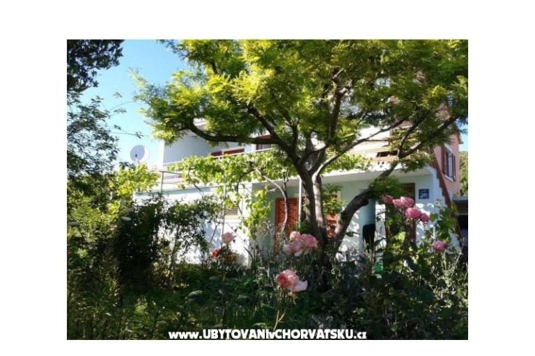 Apartmentt Anđelić – foto 2