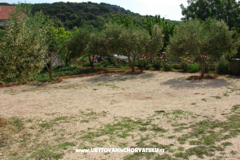 Apartmentt Anđelić – foto 5