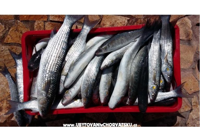 Colić Appartements  – foto 10