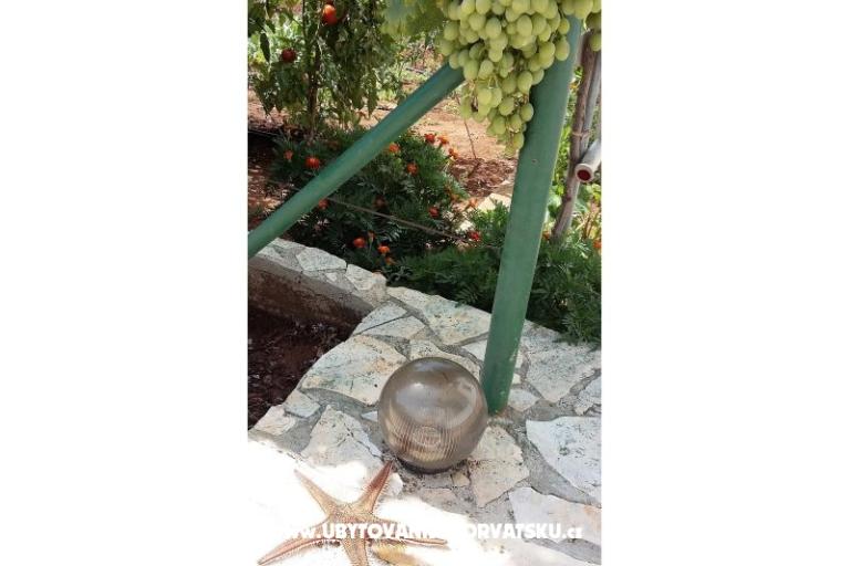 Colić Appartements  – foto 11