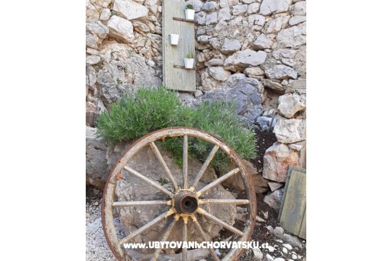 Apartment - kamena kuća  Šparoga – foto 19