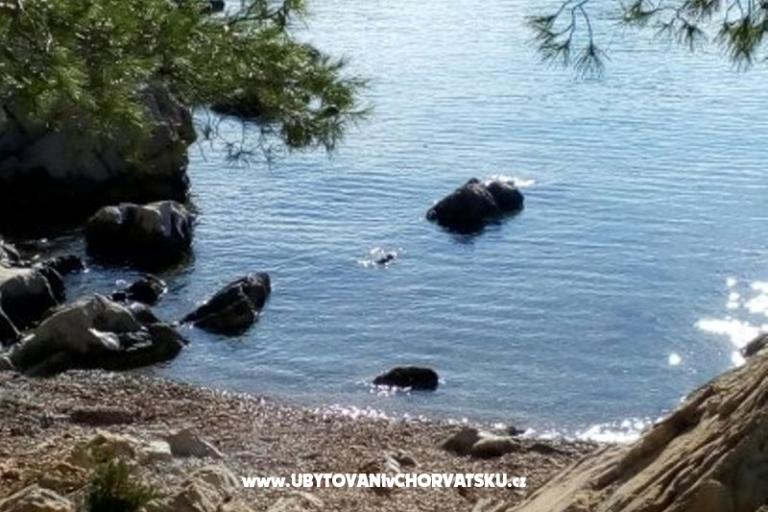 Apartment - kamena kuća  Šparoga – foto 7