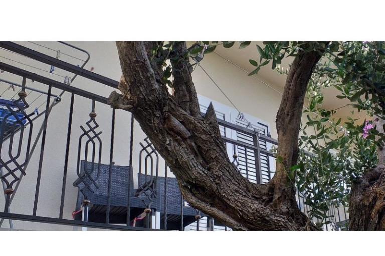 Apartment Monika – foto 17