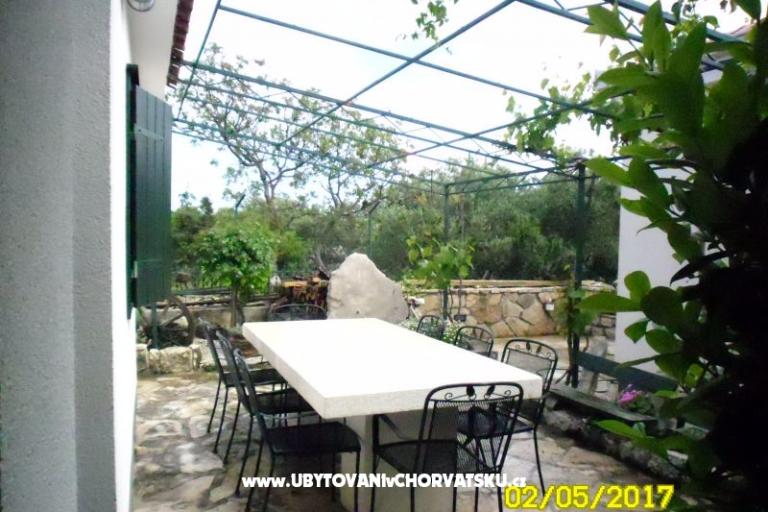 Apartment Tone – foto 6