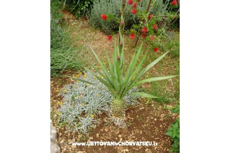 Appartements Anita – foto 6