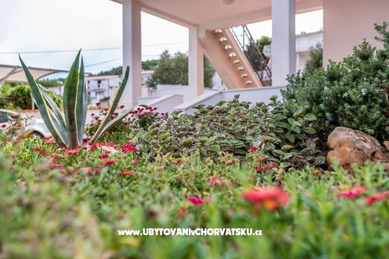 Appartements Antonia – foto 6