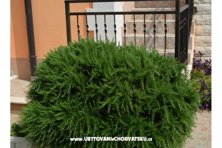 Appartements Brksi  – foto 14