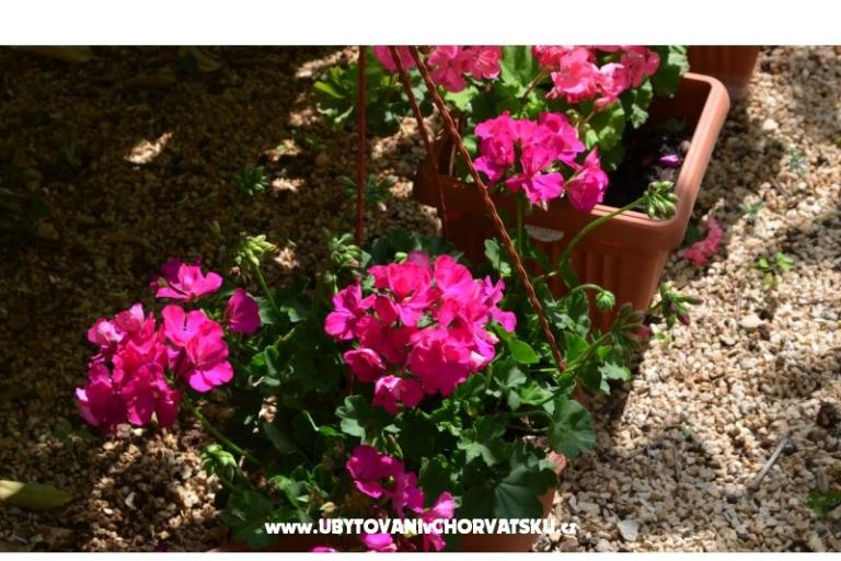 Appartements Brksi  – foto 15