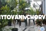 Appartements Gardijan – foto 8