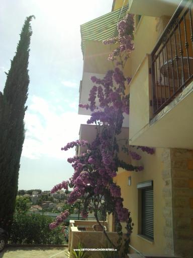 Appartements Mia – foto 8