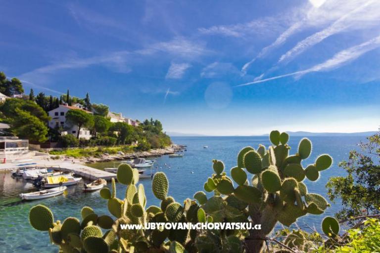 Ferienwohnungen ŠUKI – foto 5