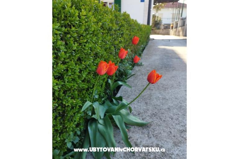 Ferienwohnungen Zdravka – foto 13