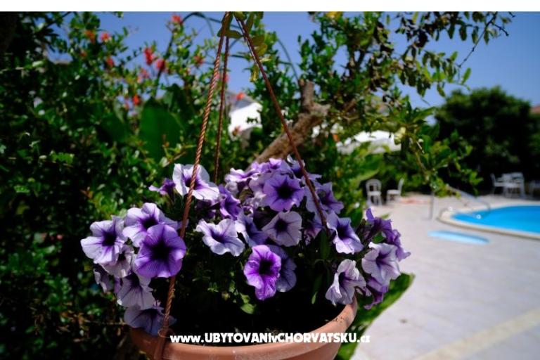 Pension Jeric – foto 5