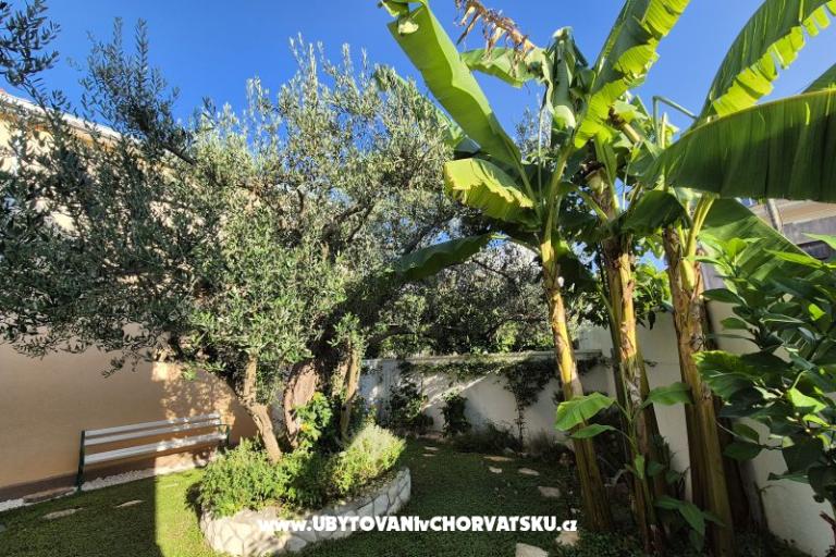 The Three Flowers Pool Haus – foto 61