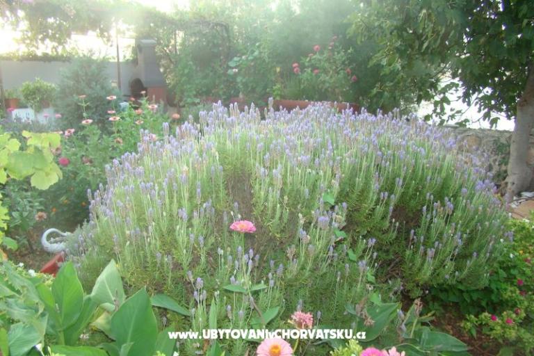 Ferienwohnungen Villa Milena – foto 6