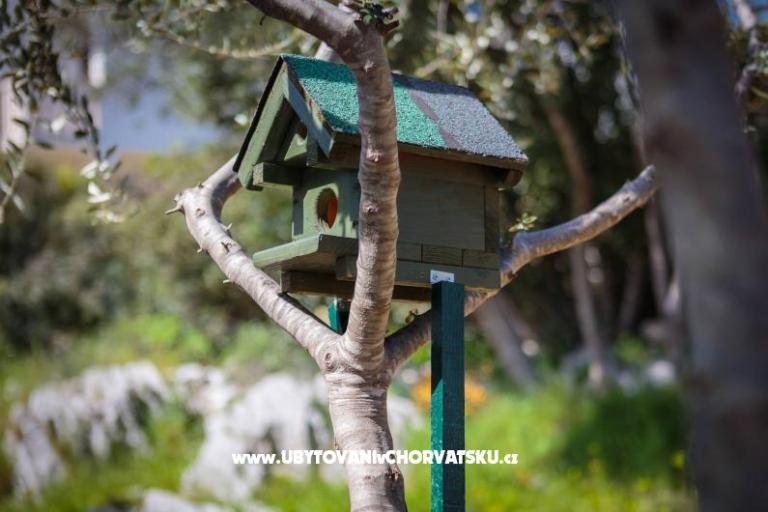 Haus Tea in a beautiful nature – foto 8