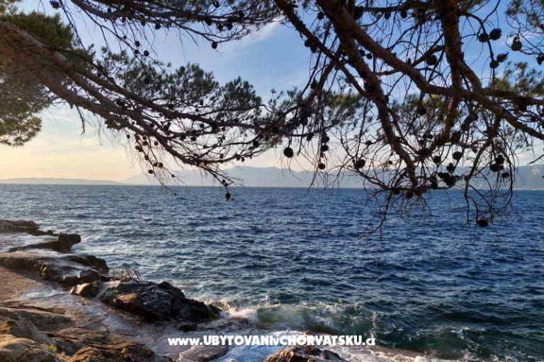 Appartements Bukovac – foto 15