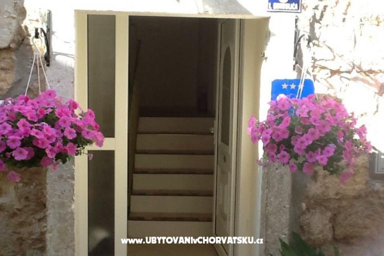 Dragicevic apartments – foto 12