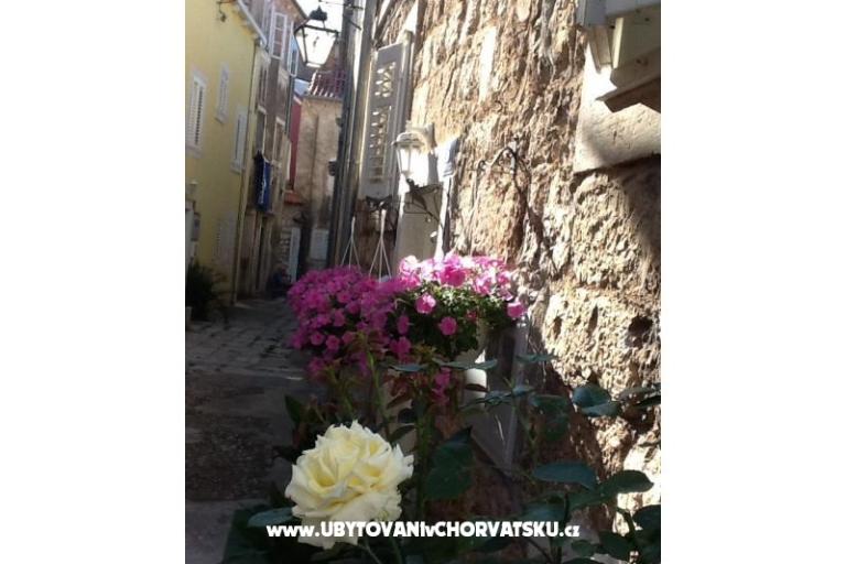 Dragicevic apartments – foto 18