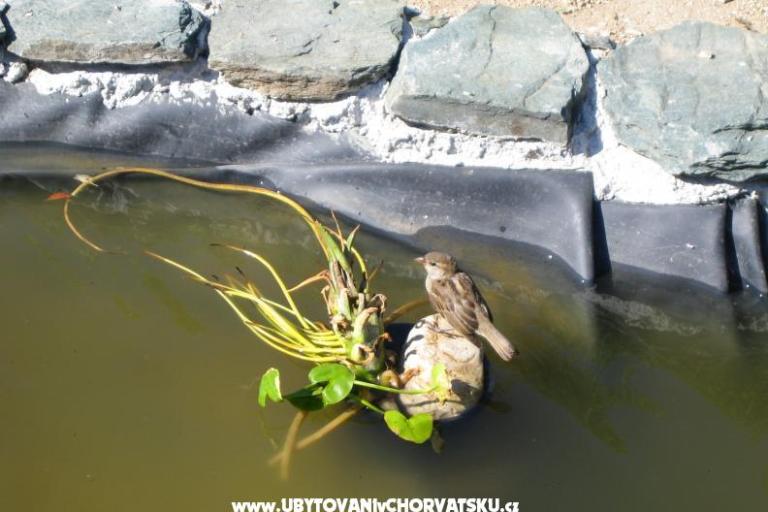 Ferienwohnungen Sunce – foto 14