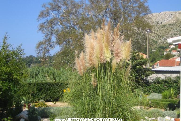 Ferienwohnungen Sunce – foto 16