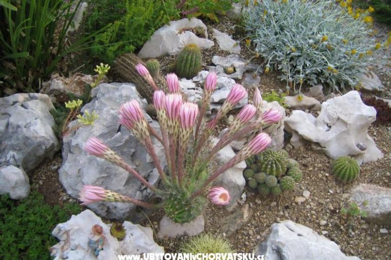 Ferienwohnungen Sunce – foto 17