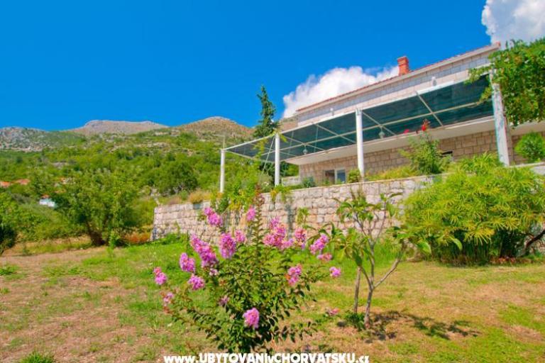 Villa Boskovic – foto 2