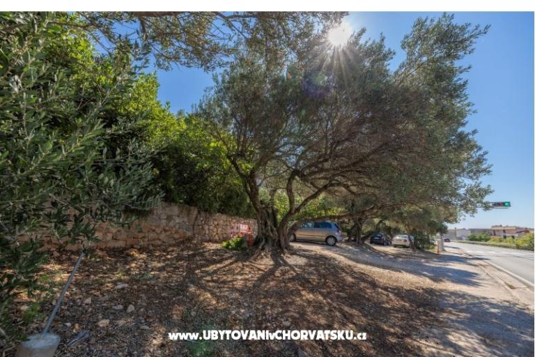 Appartements Marta – foto 18