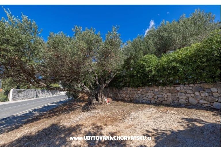 Appartements Marta – foto 19