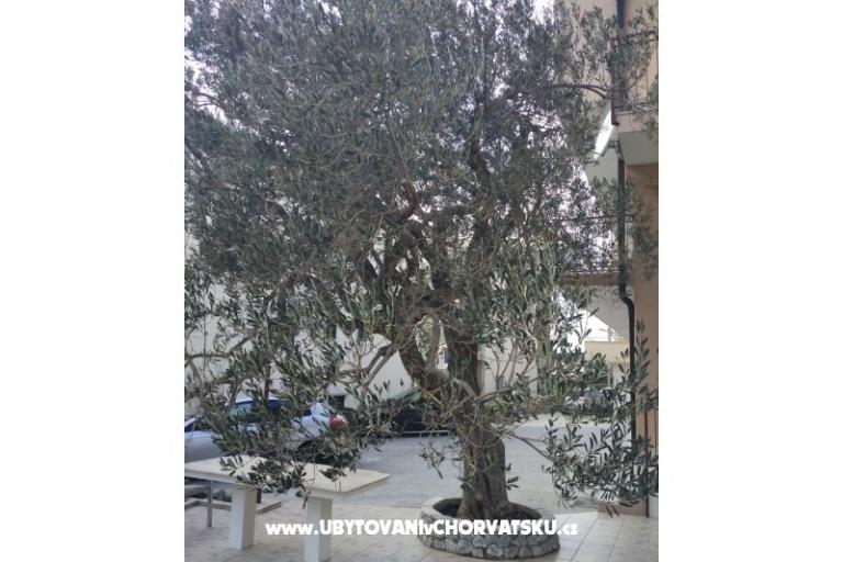 Appartements Mena – foto 4