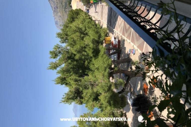 Appartements Mihaljević-Olea – foto 10